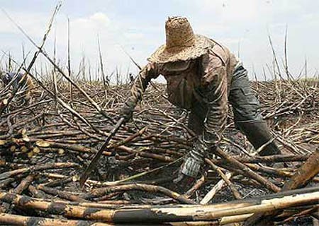 Maranhão é um dos líderes em trabalho escravo no país